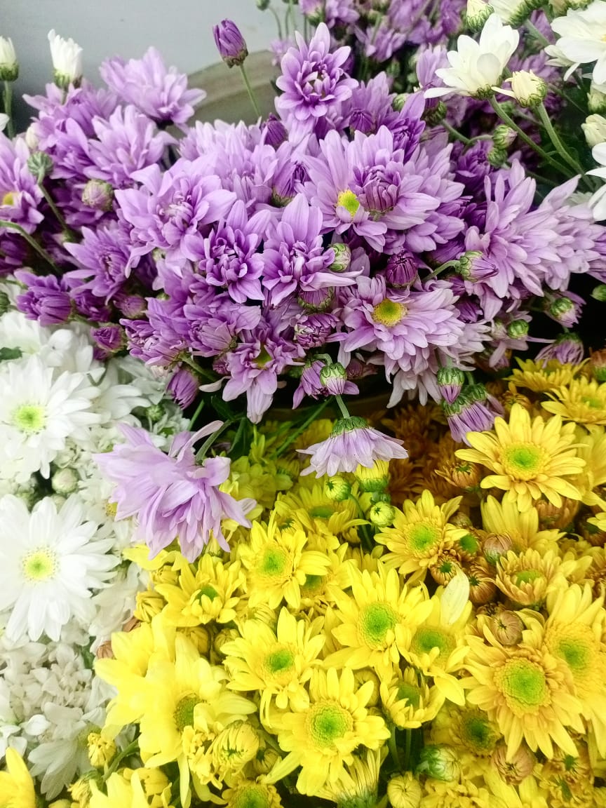 Weekly Petal Subscription